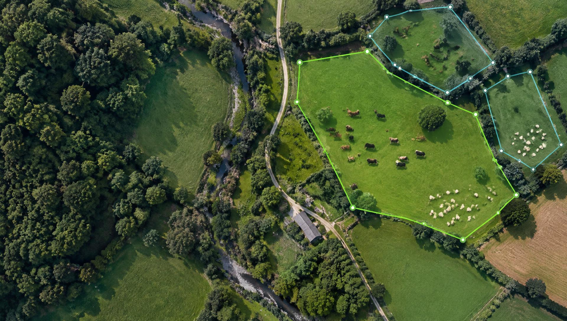 Virtual fence boundaries drawn on an aerial pasture map with cattle and sheep